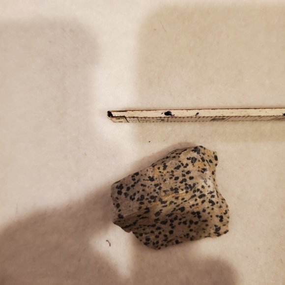 Natural Raw Dalmation Jasper Gemstone #2 Stone - Picture 5 of 6